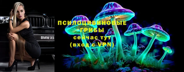 прущая мука Инта