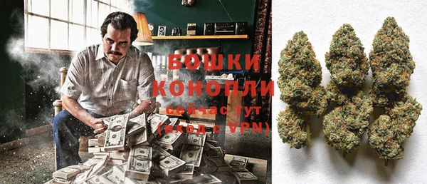 прущая мука Инта