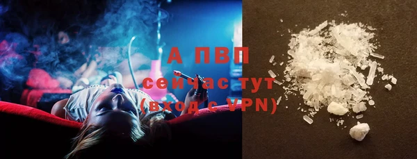 прущая мука Инта