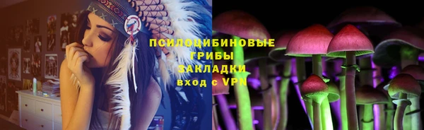 прущая мука Инта