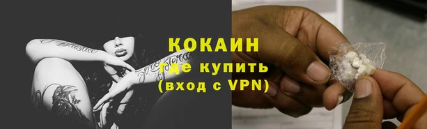 стафф Каменка