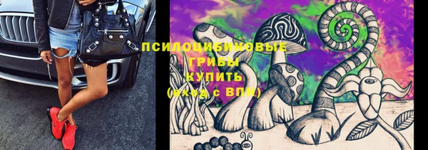 тгк Иннополис