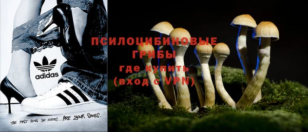 тгк Иннополис